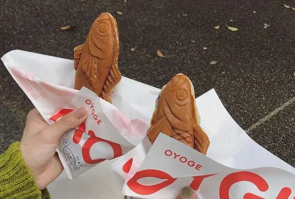 OYOGEの写真・動画_image_914614