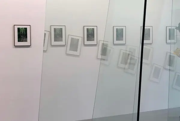 ワコウ・ワークス・オブ・アートの写真・動画_image_914649