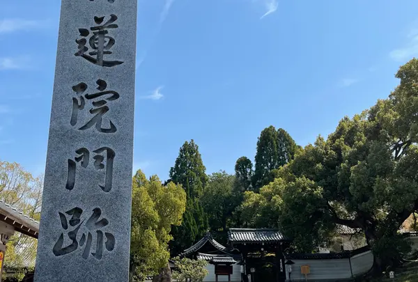 青蓮院門跡の写真・動画_image_914662
