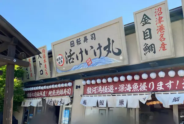 活けいけ丸