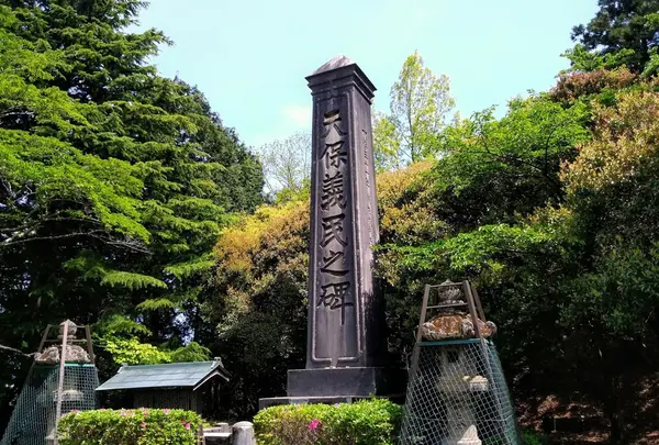 天保義民之碑