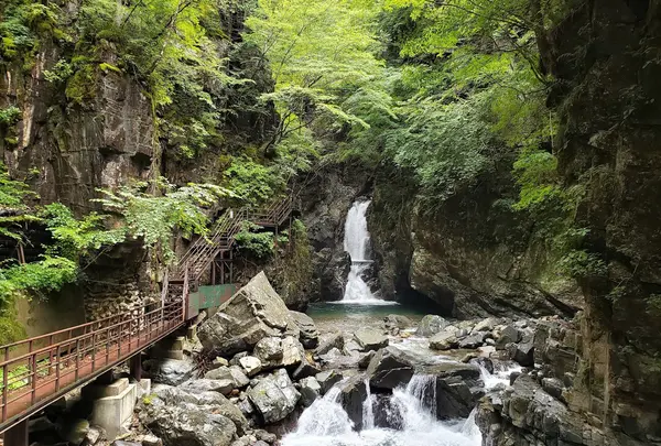 がんだて公園