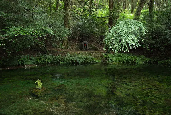 池山水源