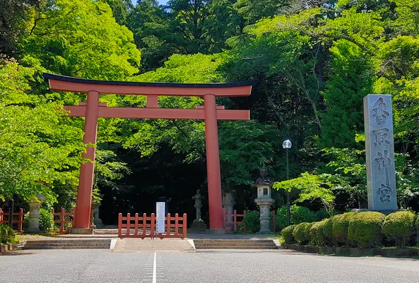 香取神宮の写真・動画_image_917437
