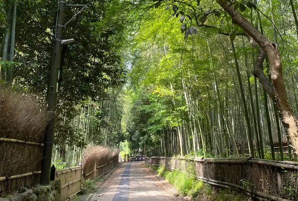 竹林の小径