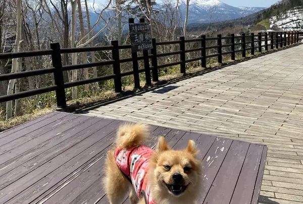 三国峠