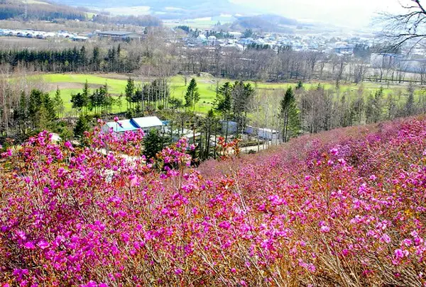 おんねゆ温泉つつじ公園