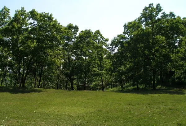 茶屋の原キャンプ場