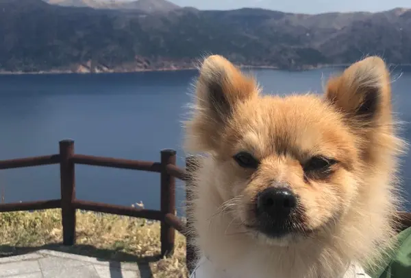 摩周湖