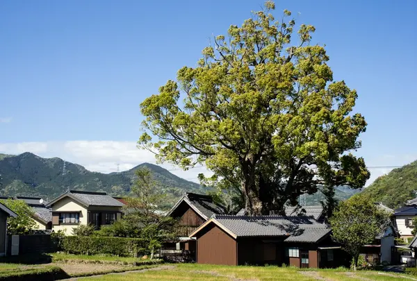 関川神社