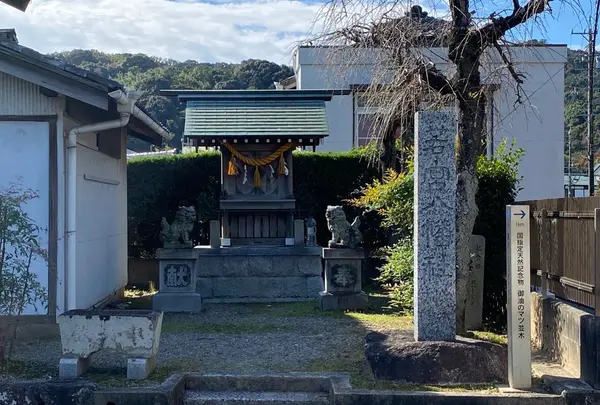 若宮八幡社の写真・動画_image_921316