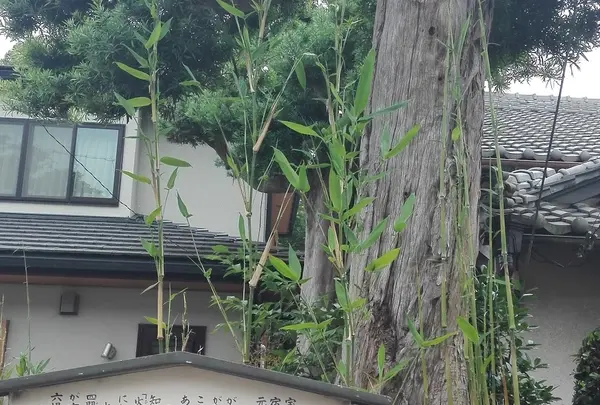 白須賀宿の火防