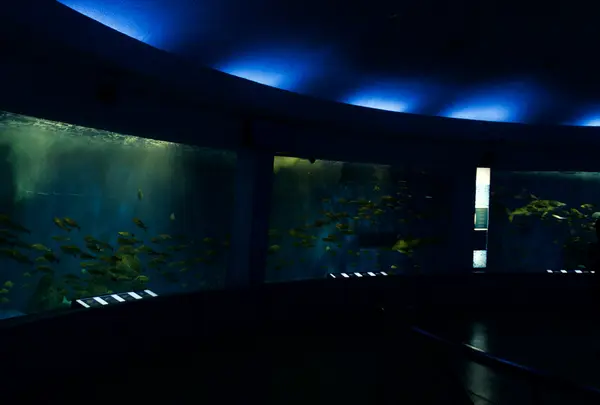京急油壺マリンパーク