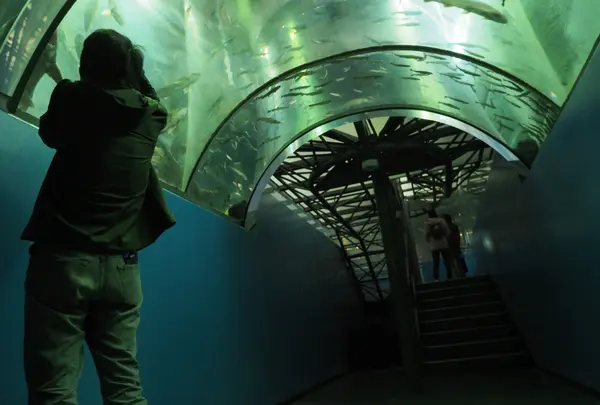山梨県立富士湧水の里水族館 森の中の水族館。