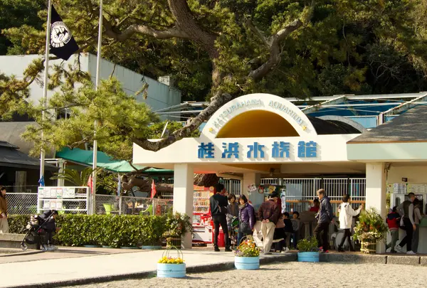 桂浜水族館
