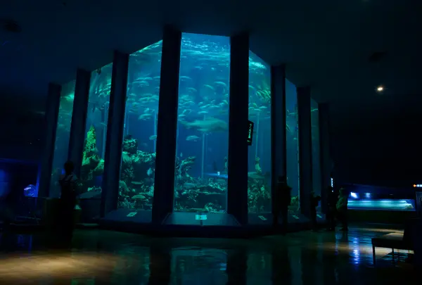 東海大学海洋学部博物館