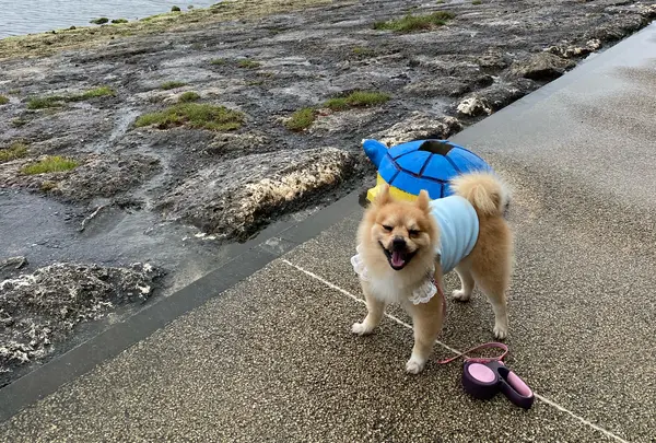 波の上うみそら公園