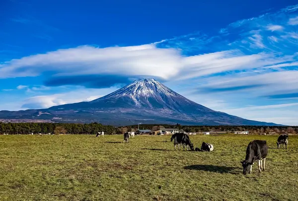 朝霧さわやかパーキング