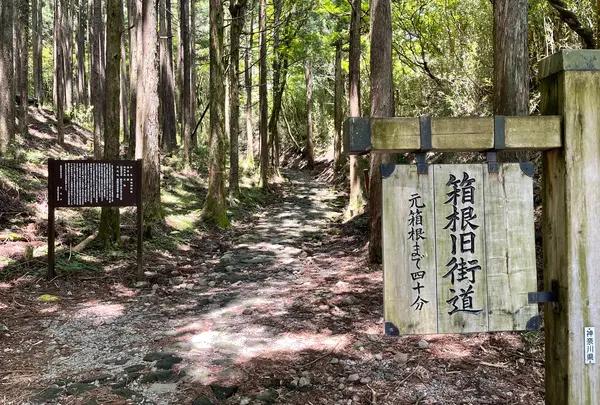 旧東海道石畳