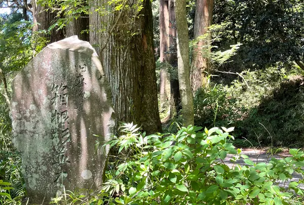 箱根旧街道杉並木
