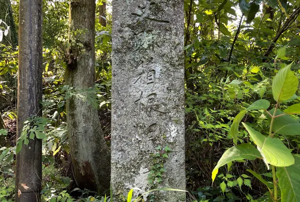 箱根旧街道　石畳