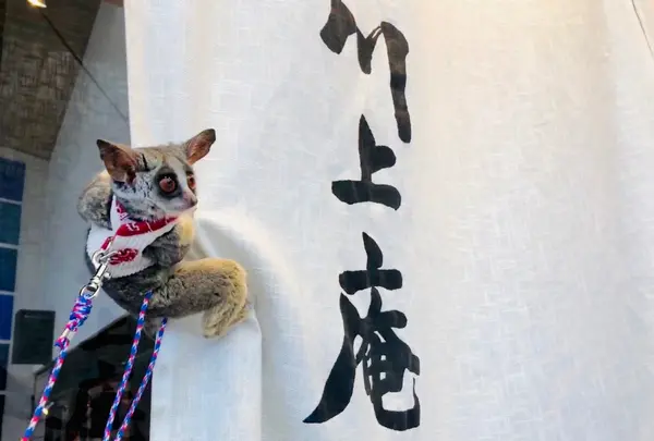 川上庵