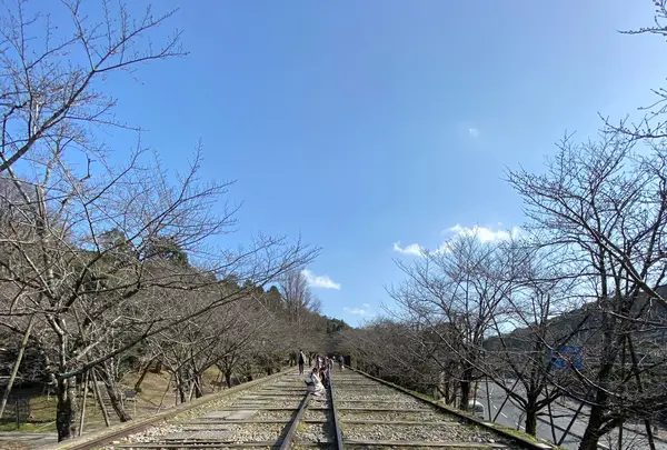 蹴上インクラインの写真・動画_image_928317