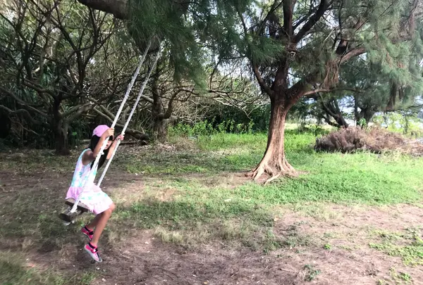 泡瀬干潟 潮干狩り