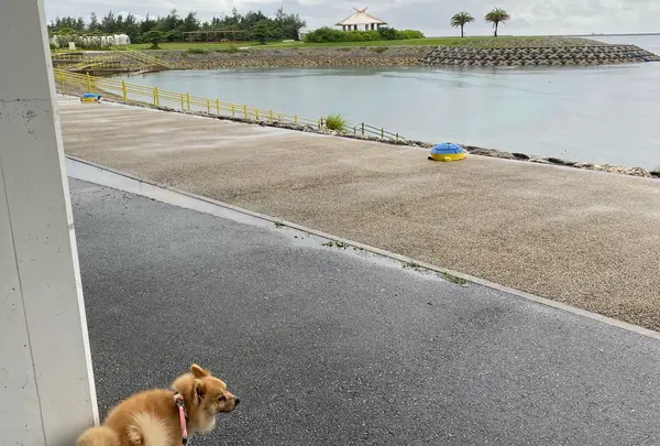 波の上うみそら公園の写真・動画_image_930177