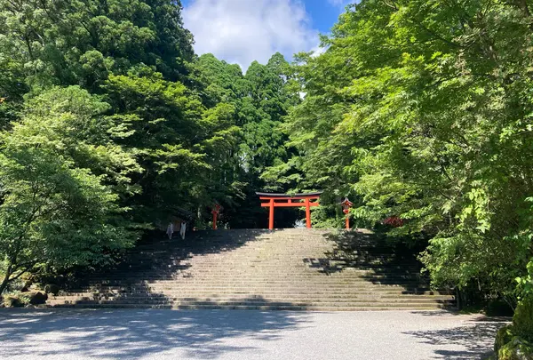 霧島神宮の写真・動画_image_931962