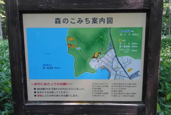 ボッケ（阿寒湖畔）