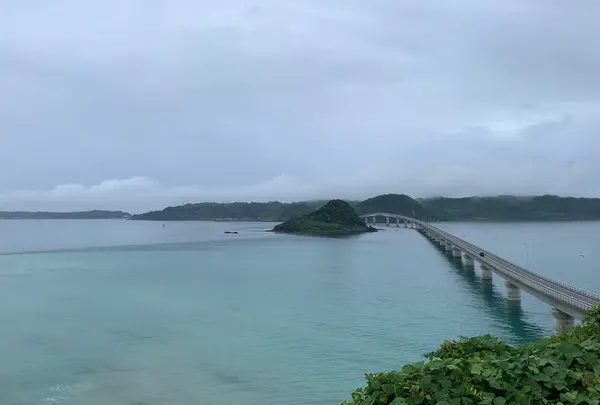 海士ヶ瀬公園の写真・動画_image_932847