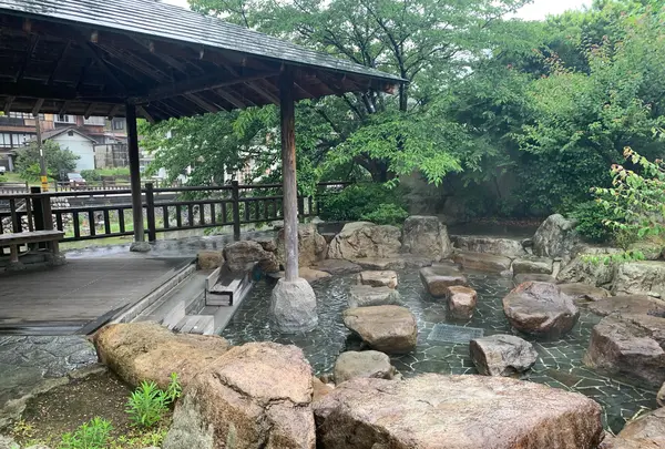 音信川河川公園の写真・動画_image_932865