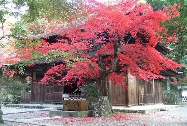 定光寺公園