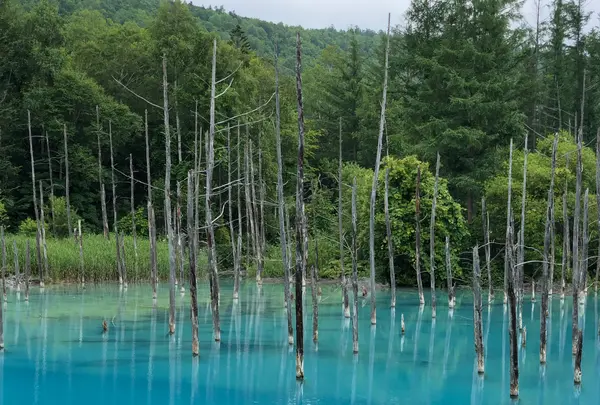 青い池