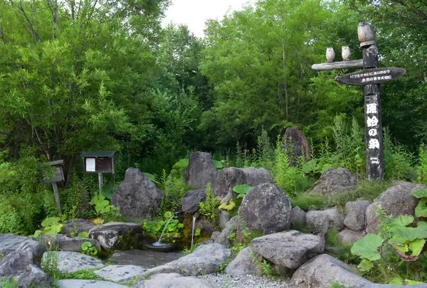 原始の泉の写真・動画_image_934570