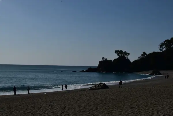 桂浜の写真・動画_image_934698