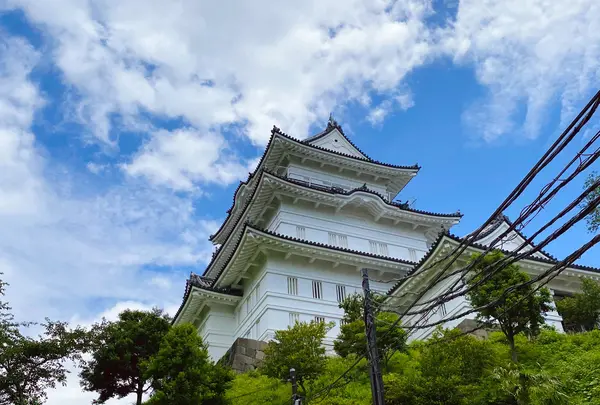 小田原城址公園の写真・動画_image_934731
