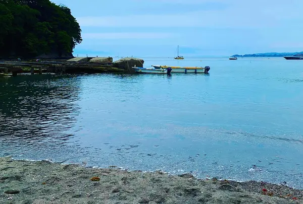 荒井浜海水浴場の写真・動画_image_935258