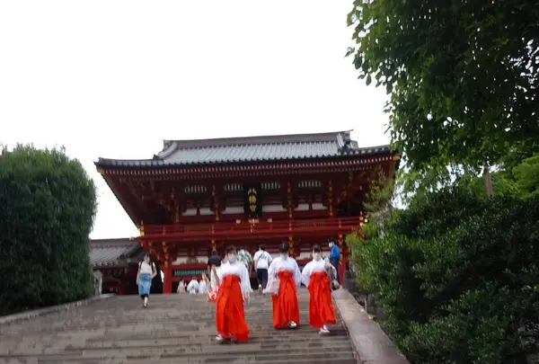 鶴岡八幡宮の写真・動画_image_935260