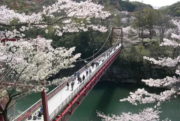 桜淵公園