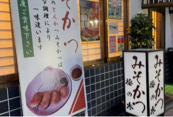 みそかつ梅の木の写真・動画_image_936729