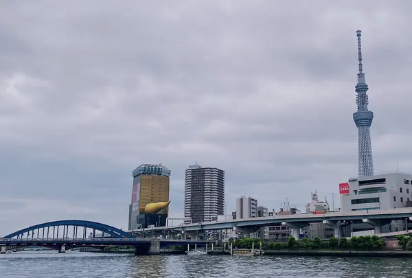 隅田川の写真・動画_image_936968