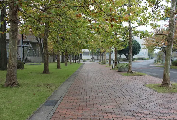 聖徳大学附属女子中学校・高等学校