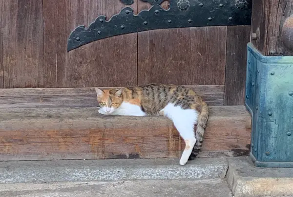 彦根城