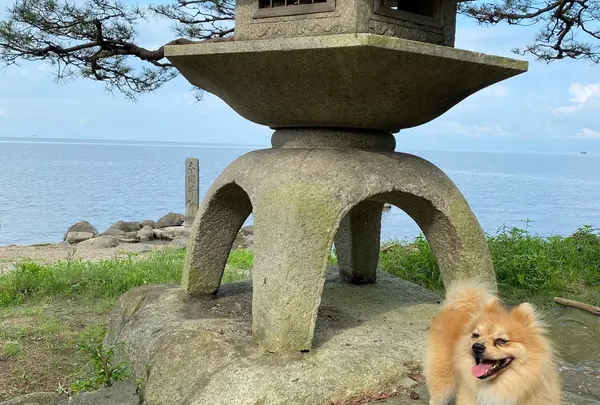 長浜城 太閤井戸