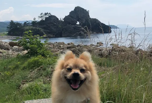 窓岩