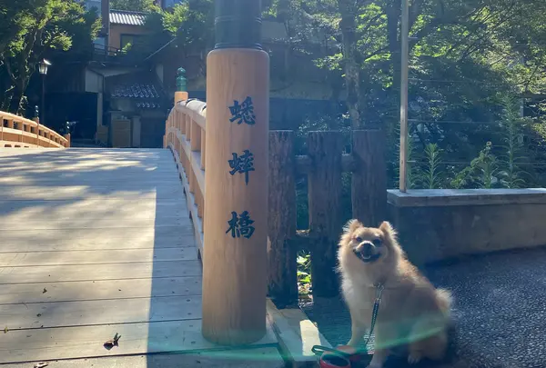 こおろぎ橋
