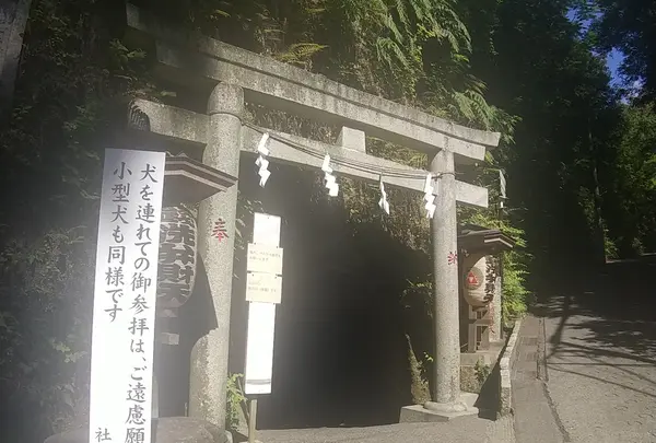 銭洗弁財天宇賀福神社