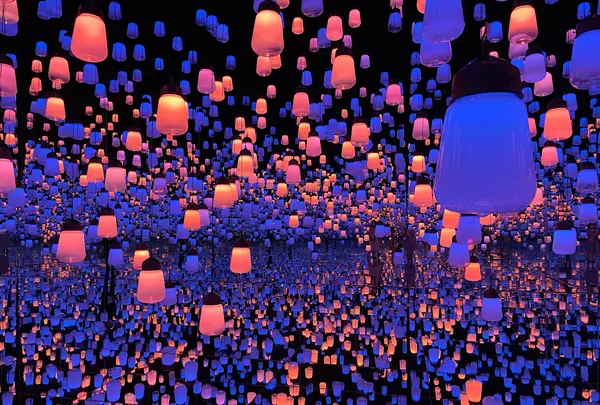 【閉業】森ビルデジタルアートミュージアム：エプソン チームラボボーダレス（MORI Building Digital Art Museum: EPSON teamLab Borderless）の写真・動画_image_954222